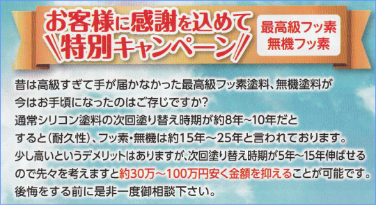 キャンペーン